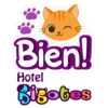 Bigotes frases 6