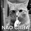 Gatitos apocalípticos 🙀 24