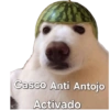 Geo  12
