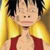 Luffy 8