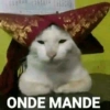 Meme kucing 21