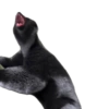 Falanga Memes 2 10