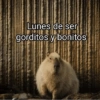 Hoy es lunes🥲😔✨ 7