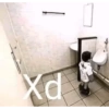 PX