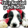 Feliz Navidad y ano Nuevo