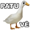 As melhores frases 5