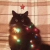 🎁❄️🎄 Navidad Mood 🎄❄️🎁 5