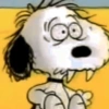 🦴🏠 SNOOPY 3 🏠🦴 15