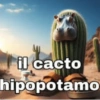 il cacto hipopotamo