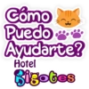 Bigotes frases 22