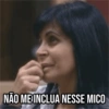 Novos Memes da Gretchen 24