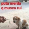 Reações + músicas 🎵 29