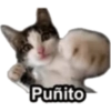 Puñito 🤓 7