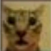 🌈🐈‍⬛✨️Gatos Funny Mood✨️🐈‍⬛🌈 25