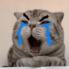 Грустные коты 2 6