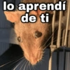 ✨ Memes mix 8 🪄🔥 8