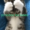 OTRA VEZ LUNES 😭😡 15