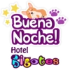 Bigotes frases 28