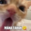MANA TAHAN (:)