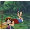 Luffy 29