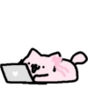 Pink silly cat 23