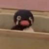 PINGU MEMES 11