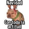 Navidad C Con toda la actitud