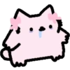 Pink silly cat 12