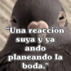 🧿Frases Migajeras🍞🐦 12