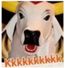 Kkkkkkkkkk