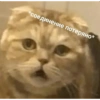 Более смешные мемы🫶🏻 25