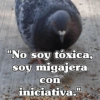 🧿Frases Migajeras🍞🐦 11
