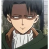 Levi 6