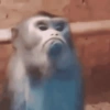 🙈 MONOS MOODS 🙈 12
