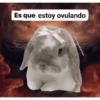 Dibujitos cursis ❤️ 29
