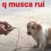Reações + músicas 🎵 17