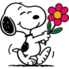 Snoopy❤ 6
