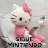 SIGUE MINTIENDO 小红书 1892313