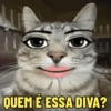 QUEM É ESSA DIVA?