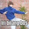 Iri bilang bos