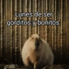 OTRA VEZ LUNES 😭😡 17