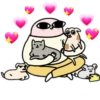 30