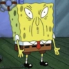 Bob esponja reativo 🧽 11