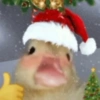🎁❄️🎄 Navidad Mood 🎄❄️🎁 6