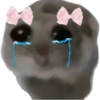 Hamster e non  19
