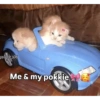 Funny quotes 🤠 13
