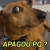 APAGOU A MENSAGEM?  9