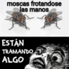 🦟Mira, una mosca 🦟 bzz 5