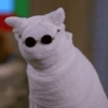 Gatitos de hallowen🎃 14