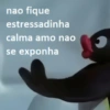 nao fique estressadinha calma amo nao se exponha